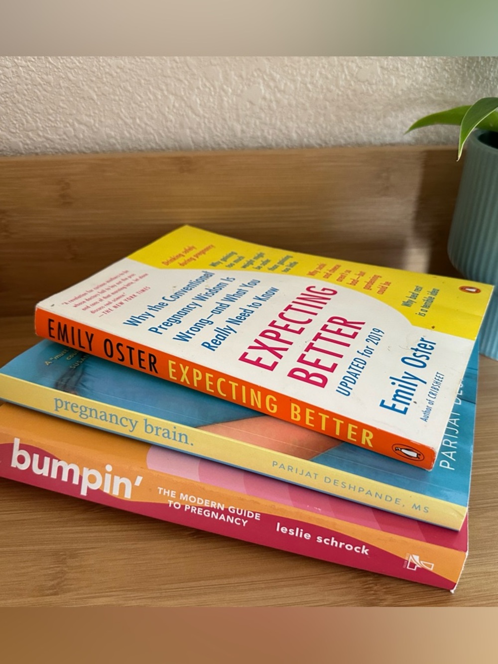 Pregnancy Book Bundle Expecting Better Bumpin Pregnancy Brain 3 Books